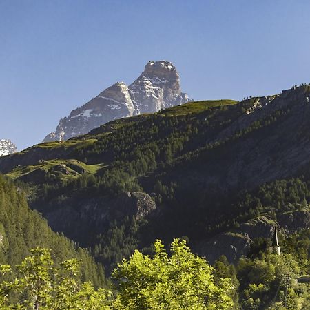 Hellochalet - Chalet Northern Lights - Family Ski Chalet With Garden Walking Distance Lift Valtournenche Exterior foto